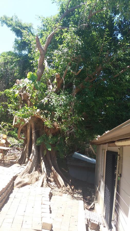 The Beach Shack Yeppoon Villa Exterior photo